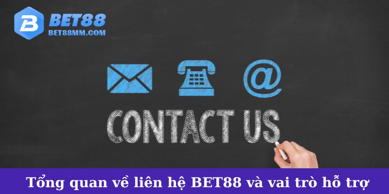 Tổng quan về liên hệ BET88 và vai trò của dịch vụ hỗ trợ